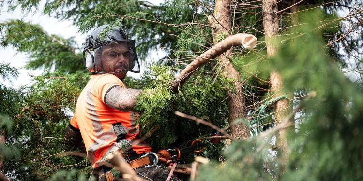 Image illustrant l'article